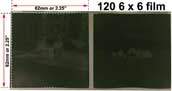 medium format brownie film