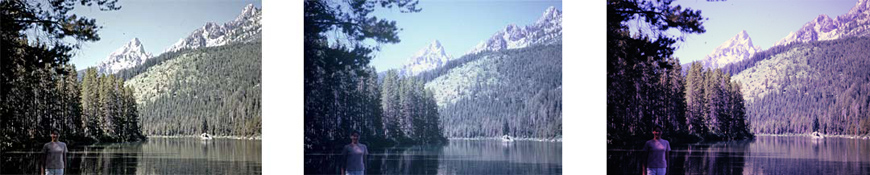 mountain lake costco