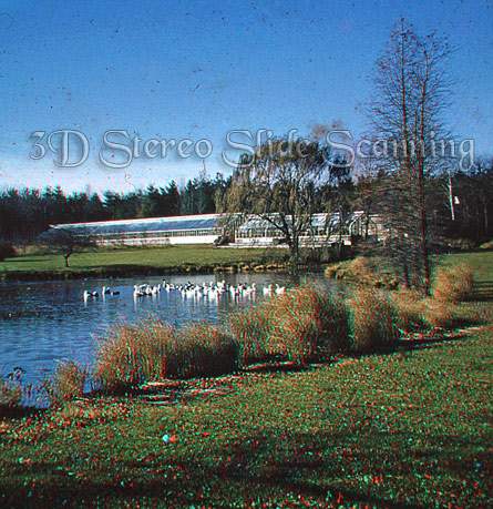 Archived sample: 3D stereo slide of a greenhouse exterior