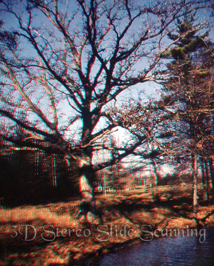 3d tree
