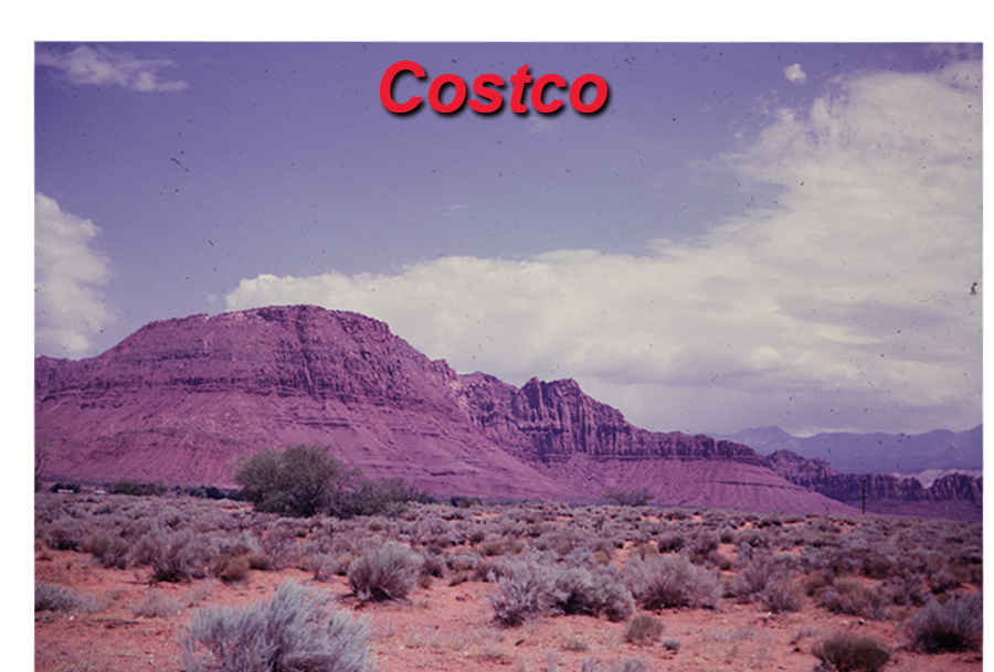 Mountain desert — Costco scan