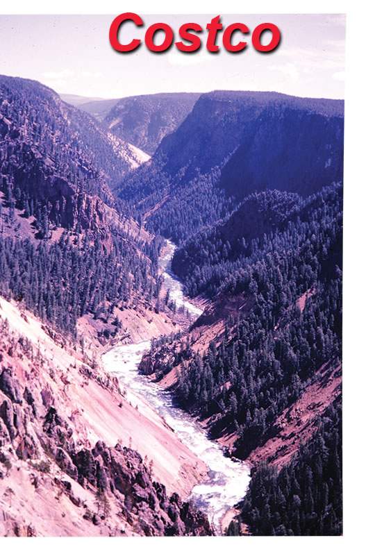 Yellowstone geyser — final scan from Costco order