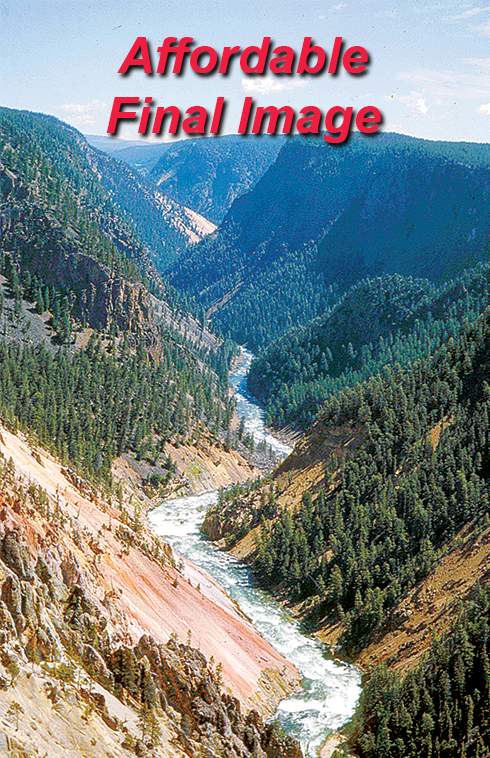 Demo sample from Affordable Scanning showing color-corrected, detailed final image