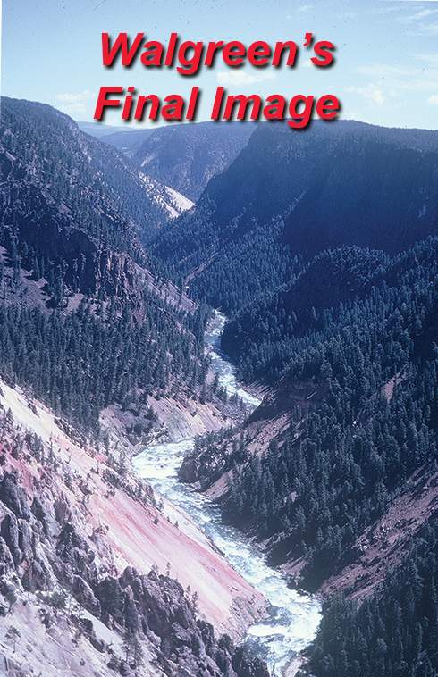 Competitor example labeled Walgreens used for free demo comparison