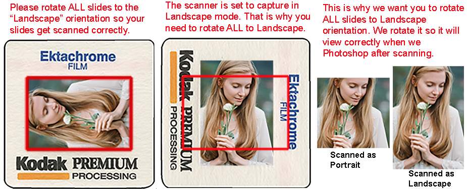 Comparison demonstrating why all slides should be rotated to landscape before scanning