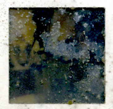 Moldy 35mm slide close-up