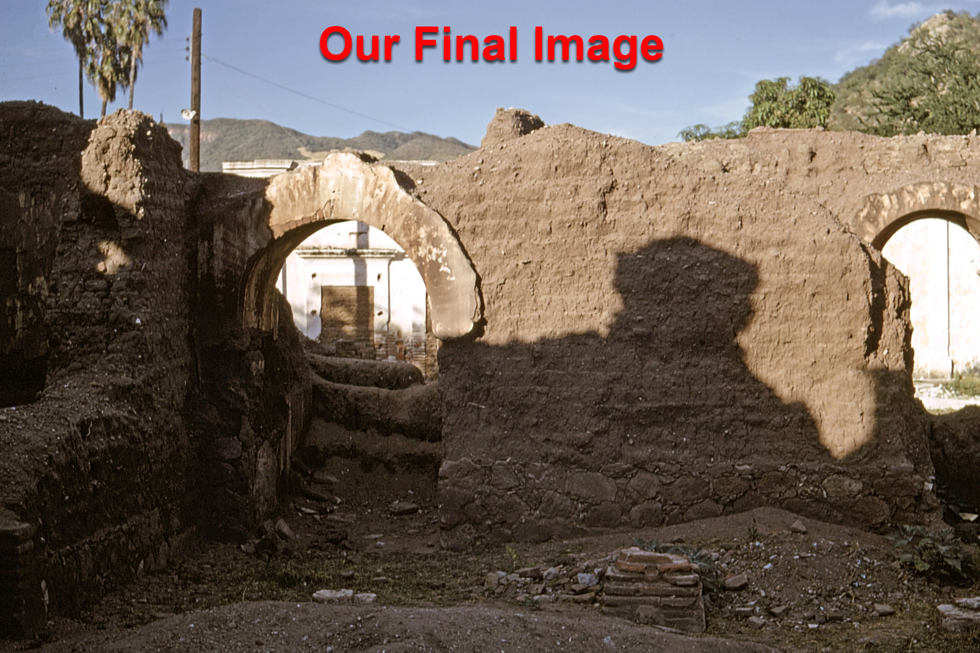 Our premium scan result: clean detail, accurate color, and balanced contrast.