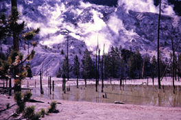 costco photo digitizing