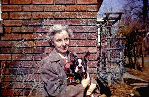 Over-cleaned slide showing streaks—why gentle dusting is safer