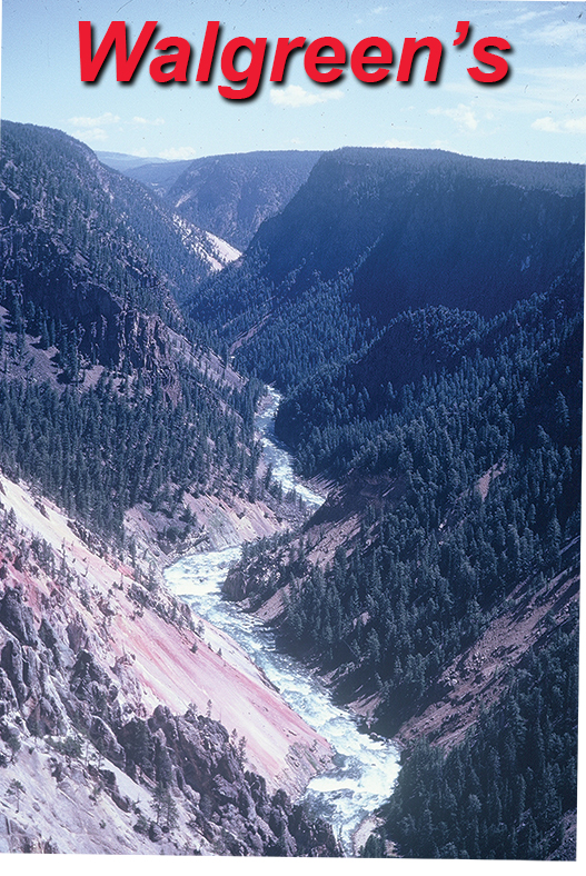Walgreen's final image of Yellowstone