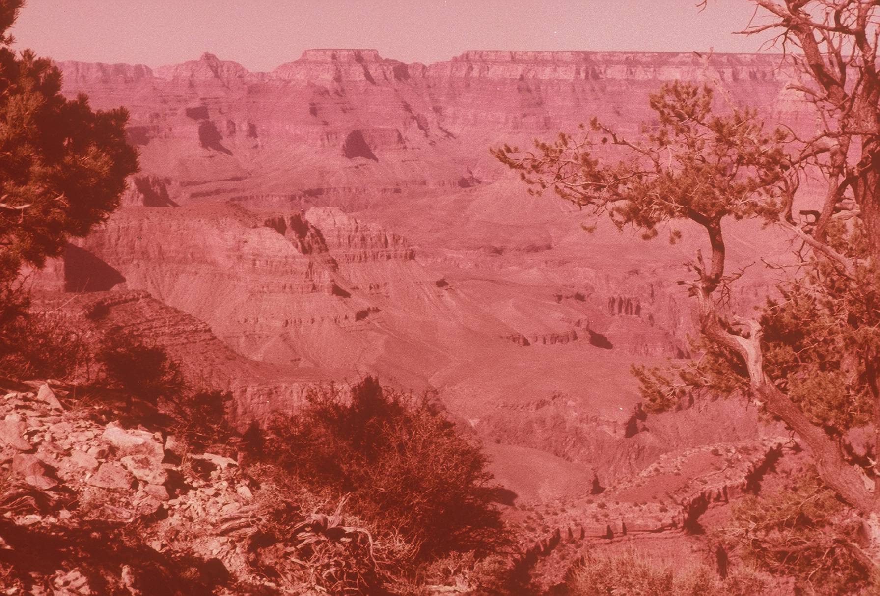 Walgreen's final scan of Grand Canyon slide