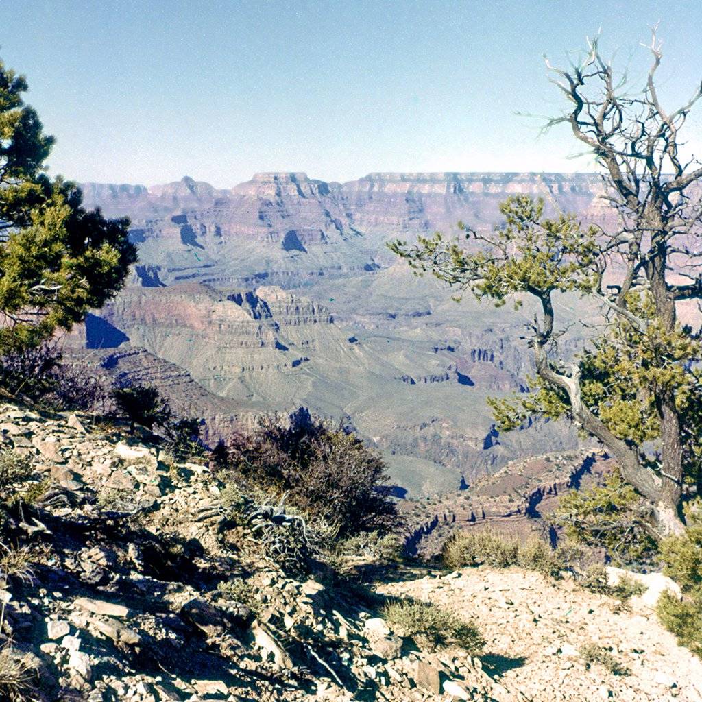 Grand Canyon scan by Affordable Scanning with Photoshop editing.