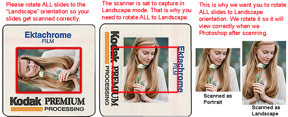 Comparison demonstrating why all slides should be rotated to landscape before scanning