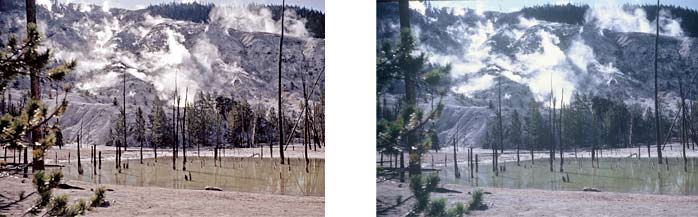 yellowstone park